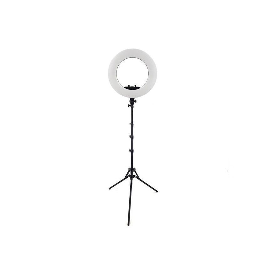 رینگ لایت SY-3161 III + پایه